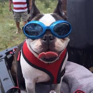 Meet your Posher, Nancy